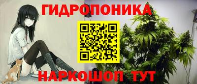 ПСИЛОЦИБИНОВЫЕ ГРИБЫ Абакан