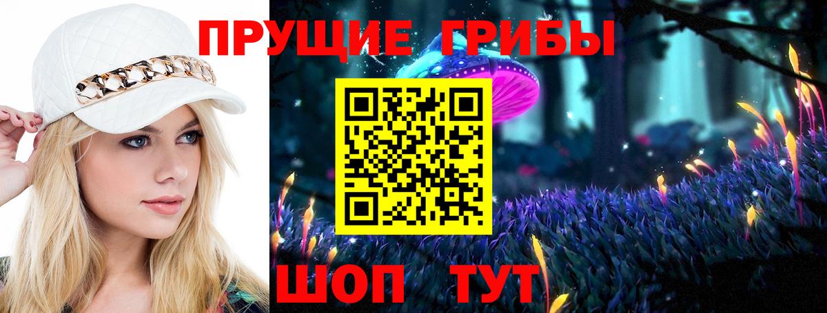 Галлюциногенные грибы прущие грибы Армавир
